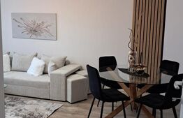 Apartament 2 camere decomandat, mobilat la cheie, 55,55 mp utili, zona Terra