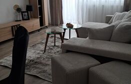 Apartament 2 camere decomandat, mobilat la cheie, 55,55 mp utili, zona Terra