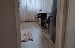 Apartament 2 camere decomandat, mobilat la cheie, 55,55 mp utili, zona Terra