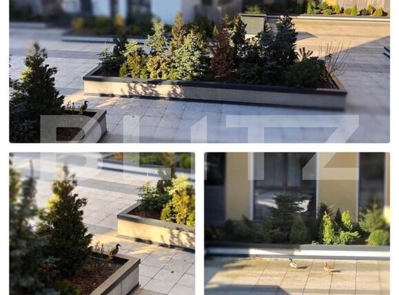 Apartament de vânzare 2 camere Semicentral - 181498AV | BLITZ Cluj-Napoca | Poza11