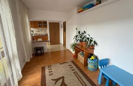 Apartament 3 camere, etaj intermediar, 60 mp, zona Cetatea Fetei 