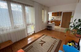 Apartament 3 camere, etaj intermediar, 60 mp, zona Cetatea Fetei 