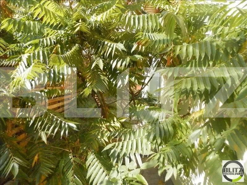 Casa de vânzare 2 camere Grigorescu - 18151CV | BLITZ Cluj-Napoca | Poza9