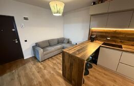 Apartament 2 camere, 50 mp, pet friendly, parcare, zona Vivo