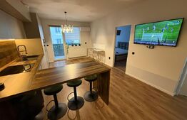 Apartament 2 camere, 50 mp, pet friendly, parcare, zona Vivo