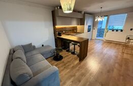 Apartament 2 camere, 50 mp, pet friendly, parcare, zona Vivo