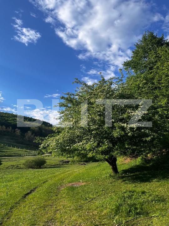 Apartament de vânzare 3 camere Floreşti - 181575AV | BLITZ Cluj-Napoca | Poza13