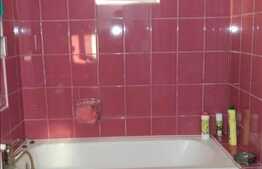 De vanzare casa individuala in Gruia, 200 mp plus 520 mp teren