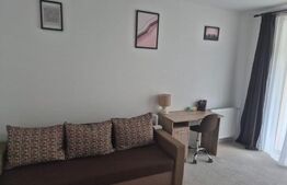 Apartament o camera, 38 mp, zona Porii