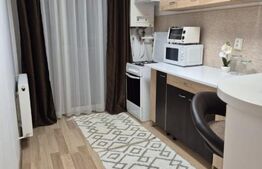 Apartament o camera, 38 mp, zona Porii