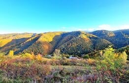 TEREN CU PANORAMA, strada principala, 9959mp, Marisel