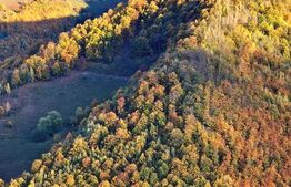 TEREN CU PANORAMA, strada principala, 9959mp, Marisel