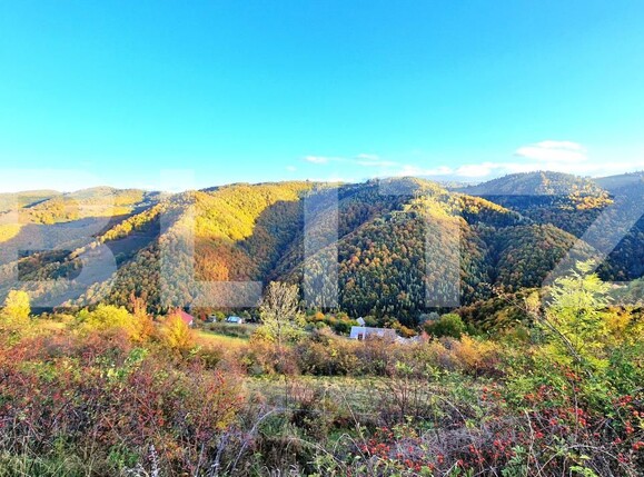 Teren de vânzare Mărişel - 181615TV | BLITZ Cluj-Napoca | Poza1