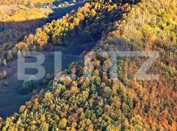 Teren de vânzare Mărişel - 181615TV | BLITZ Cluj-Napoca | Poza2