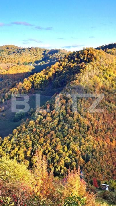 Teren de vânzare Mărişel - 181615TV | BLITZ Cluj-Napoca | Poza2