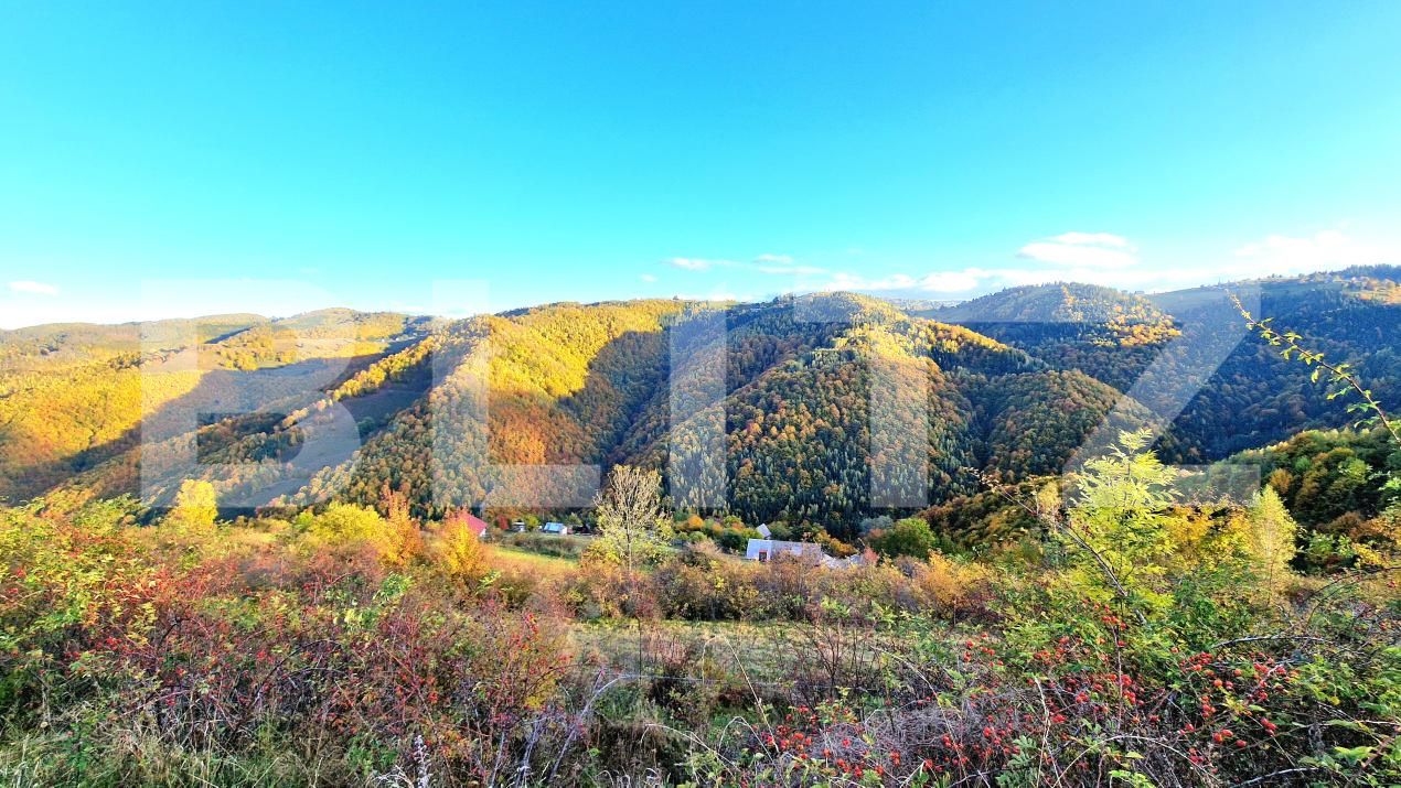 Teren de vânzare Mărişel - 181615TV | BLITZ Cluj-Napoca | Poza1