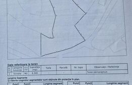 Teren parcelabil, front la strada, 6340mp, utilitati, Marisel