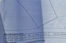 Teren parcelabil, front la strada, 5314mp, utilitati, Marisel