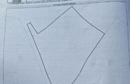 Teren parcelabil, front la strada, 3103mp, utilitati, Marisel