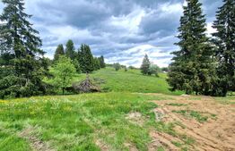  Teren 1.173 mp lângă liziera pădurii, apa si curent la front, Mărișel