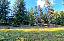  Teren 1.700 mp lângă liziera pădurii, utilităț, Mărișel