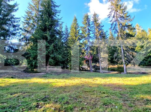 Teren de vânzare Mărişel - 181632TV | BLITZ Cluj-Napoca | Poza1