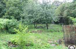 Vanzare casa, 100 mp cu 600 mp teren, zona Parcul Central