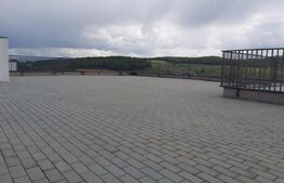 Penthouse 200 mp utili, 400 mp terasa, 2 garaje, 1 parcare, zona Baciu 