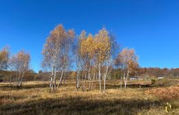 Teren construibil de vanzare, zona casele Micesti