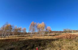 Teren construibil de vanzare, zona casele Micesti