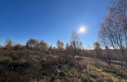 Teren de vânzare Chinteni - 151803TV | BLITZ Cluj-Napoca | Poza1