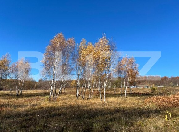 Teren de vânzare Făget - 181676TV | BLITZ Cluj-Napoca | Poza2