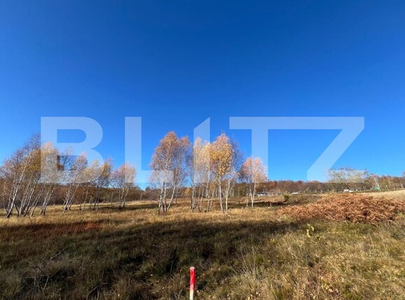 Teren de vânzare Făget - 181676TV | BLITZ Cluj-Napoca | Poza3