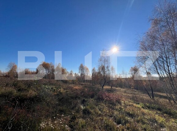 Teren de vânzare Făget - 181676TV | BLITZ Cluj-Napoca | Poza1