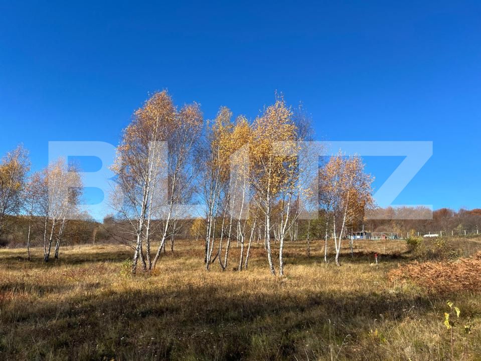 Teren de vânzare Făget - 181676TV | BLITZ Cluj-Napoca | Poza2