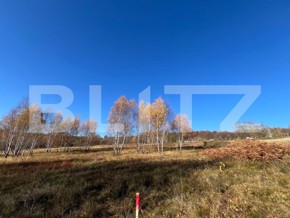 Teren de vânzare Făget - 181676TV | BLITZ Cluj-Napoca | Poza3