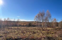 Teren construibil de vanzare, zona casele Micesti 