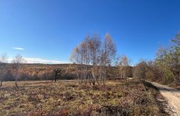 Teren construibil de vanzare, zona casele Micesti 