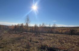 Teren de vânzare Mărişel - 181625TV | BLITZ Cluj-Napoca | Poza3