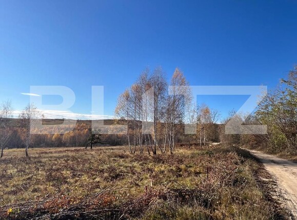 Teren de vânzare Făget - 181686TV | BLITZ Cluj-Napoca | Poza2