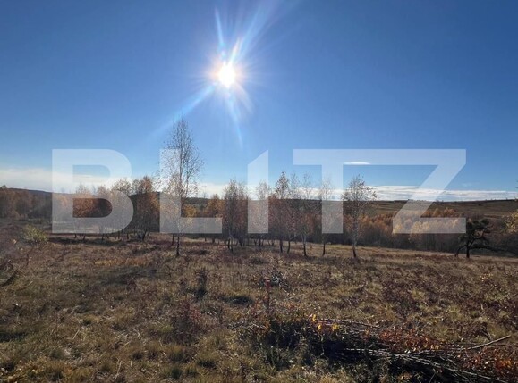 Teren de vânzare Făget - 181686TV | BLITZ Cluj-Napoca | Poza1