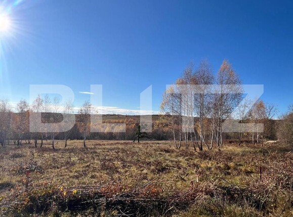 Teren de vânzare Făget - 181686TV | BLITZ Cluj-Napoca | Poza3