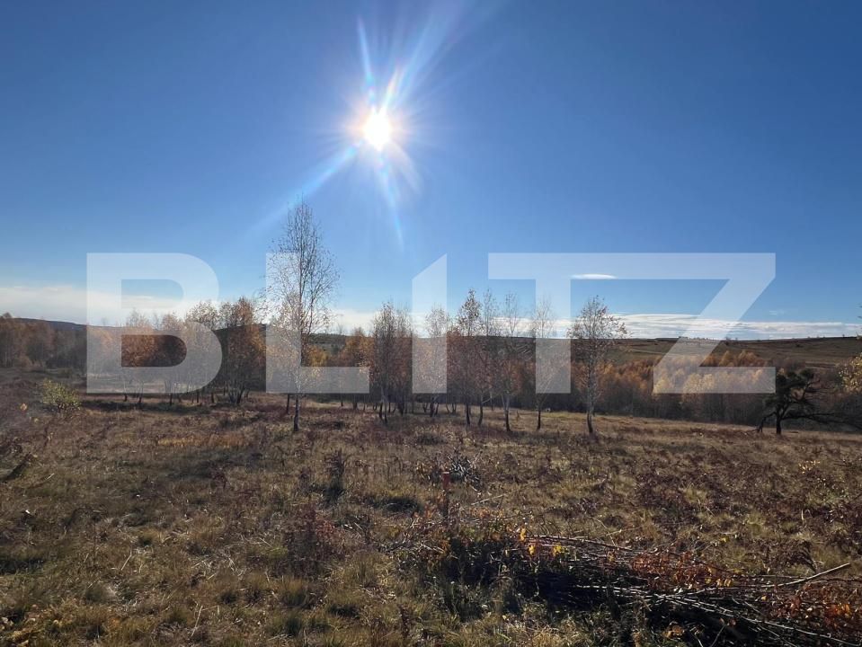 Teren de vânzare Făget - 181686TV | BLITZ Cluj-Napoca | Poza1