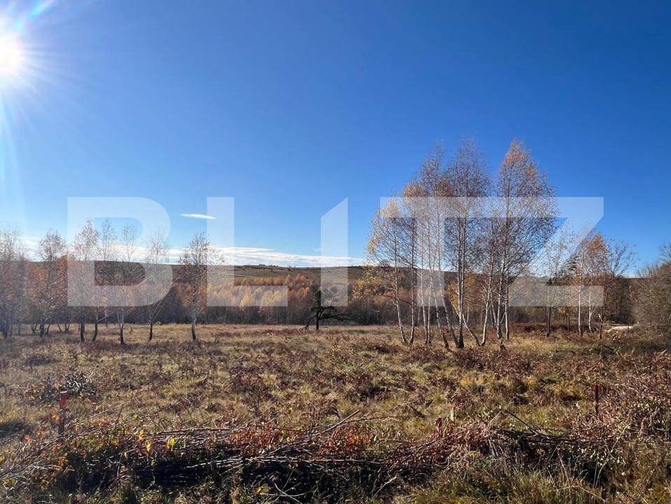 Teren de vânzare Făget - 181686TV | BLITZ Cluj-Napoca | Poza3