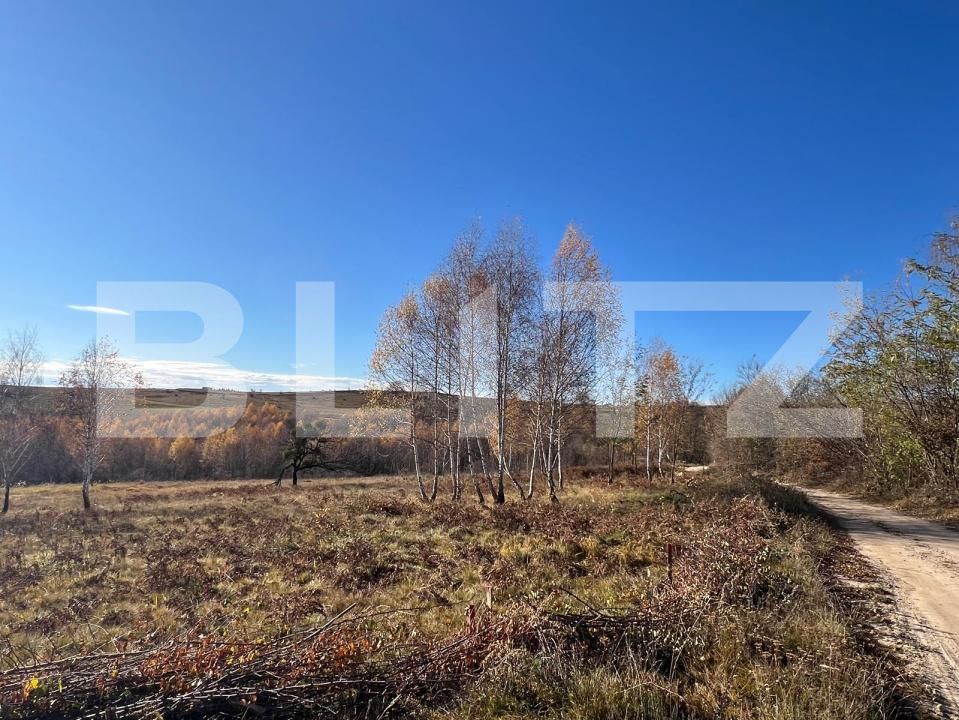 Teren de vânzare Făget - 181686TV | BLITZ Cluj-Napoca | Poza2