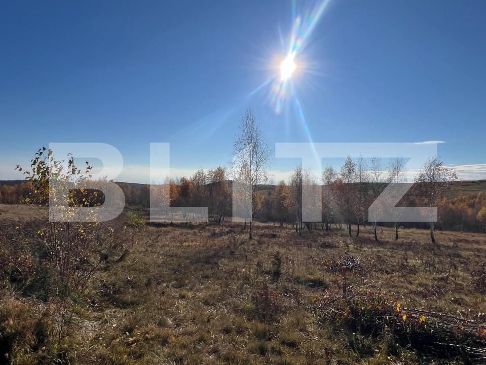 Teren de vânzare Făget - 181686TV | BLITZ Cluj-Napoca | Poza4