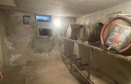 Casă cu potențial fantastic în Cluj-Napoca, cartierul Someșeni!