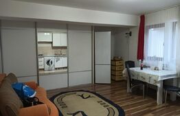 Apartament 2 camere, 45 mp, zona Vivo