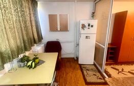 Apartament 1 camera, 33 mp, zona Marasti Paradis