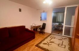 Apartament 1 camera, 33 mp, zona Marasti Paradis